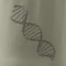 DNA čiernobiele DNA čiernobiele