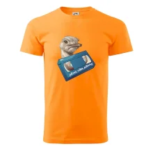 Pštrosi vídea Pštrosi vídea