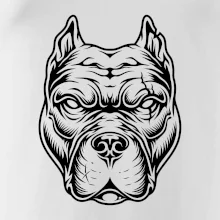 Americký stafordšírsky teriér hlava