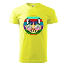 Mačka pri farebnom západe