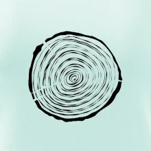 Letokruhy 15 bez veku