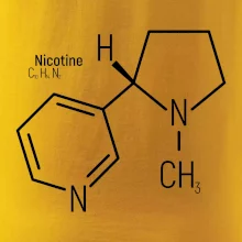 Molekulárna štruktúra Nikotín