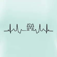 Shih-tzu ekg hlava Shih-tzu ekg hlava