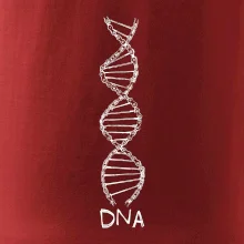 Cyklistovo DNA