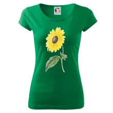 Slnečnica otočená