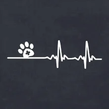 Veterinár EKG Veterinár EKG