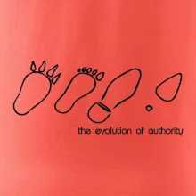 Evolution of authority