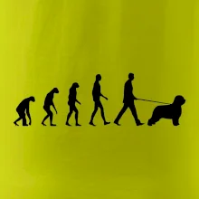 Evolúcia pes Briard