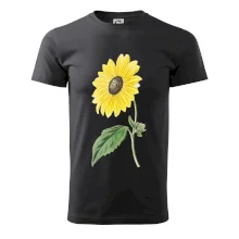 Slnečnica otočená