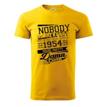 Nobody is perfect - 1954