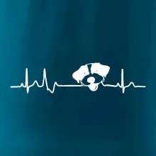 Jack Russell Teriér hrubosrstý Ekg