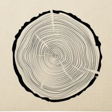 Letokruhy 50 bez veku