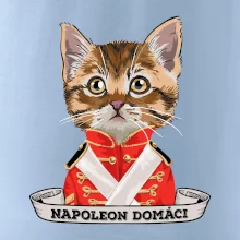Napoleon domáci mačka Napoleon domáci mačka