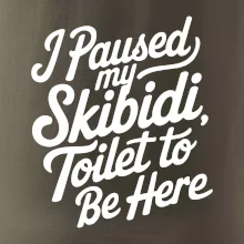 I Paused My Skibidi Toilet to be Here