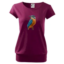 Ľadnáčik kreslený