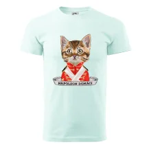 Napoleon domáci mačka Napoleon domáci mačka