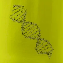 DNA čiernobiele DNA čiernobiele