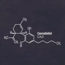 Molekulárna štruktúra CBD (Canabidiol)