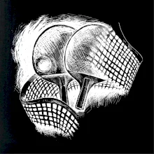 Ping pong rakety a sieť Ping pong rakety a sieť