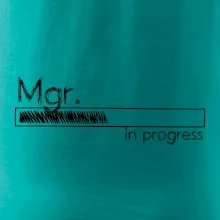 In progress titul Mgr. magister / magistra