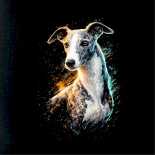 Obrázok poltón Španielsky galgo