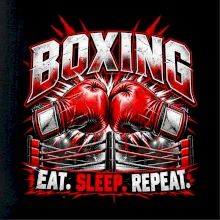 Boxerské rukavice v ringu eat sleep repeat