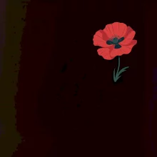 Vlčí mak kreslený na prsníku