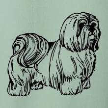 Shih-tzu - chlpatý