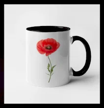 Vlčí mak - kreslený