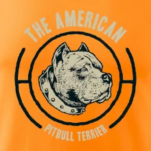 Americký pitbull terier hlava