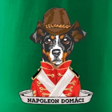 Napoleon domáci kríženec