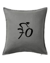 Cyklista oslavuje sedemdesiatku (70)