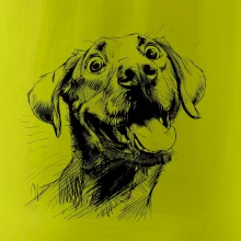 Čiernobiela karikatúra Labrador svetlý