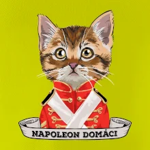 Napoleon domáci mačka