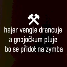 Hajer vengle drancuje a gnojočkum pluje bo se přidoł na zymba