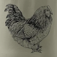 Sliepka čiernobiela