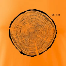 Letokruhy - 95 Letokruhy - 95