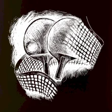 Ping pong rakety a sieť