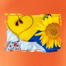 Ukrajina slnečnice a kroj Ukrajina slnečnice a kroj