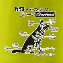 Nemecký ovčiak - Anatómia