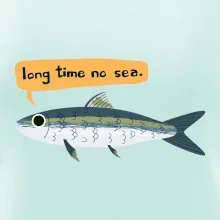 Long time no sea