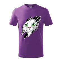 Kočka v roztrženém triku