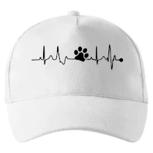 Ekg psia labka Ekg psia labka