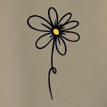 Kopretina - dole na výšku