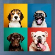 Psi šteňatá koláž