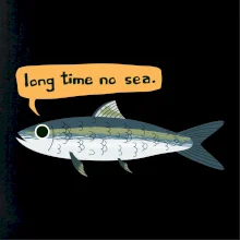 Long time no sea