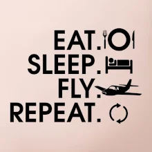 Eat sleep fly repeat