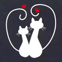 Mačky - Zamilovaný pár