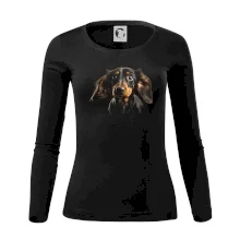 Jazvečík fotka len hlava Jazvečík fotka len hlava