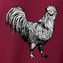 Kohút kreslený čiernobiely